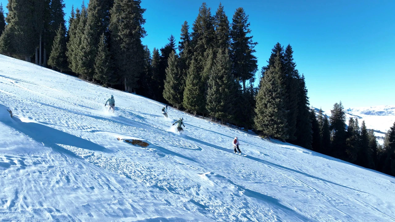 1743555230371313.jpg 微信图片_20250401095638.jpg