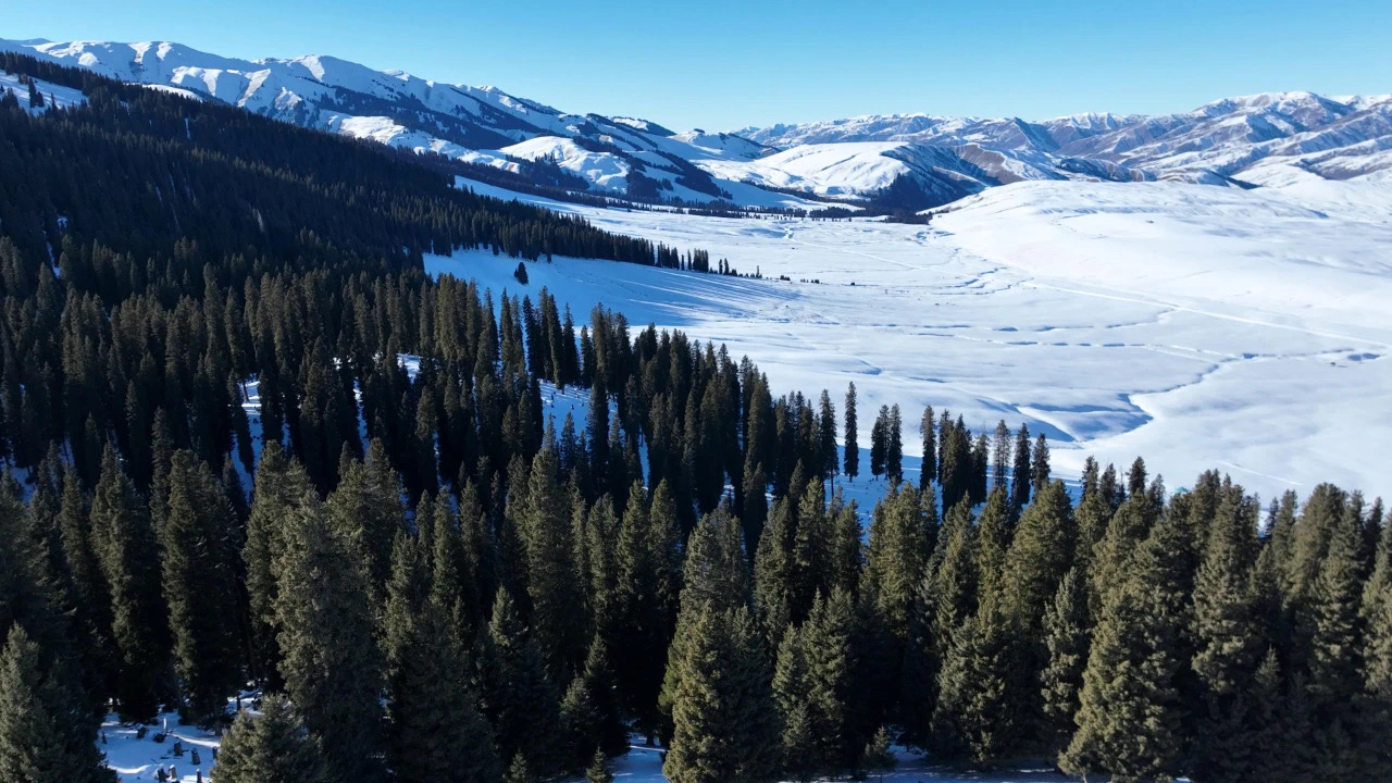 1743555327111604.jpg 微信图片_20250401095645.jpg